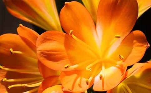 �����m����(ͨ��15ƪ)