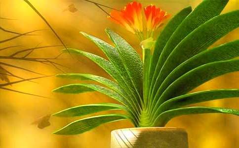 �����m����15ƪ