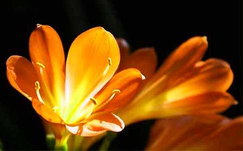 �����m�_������