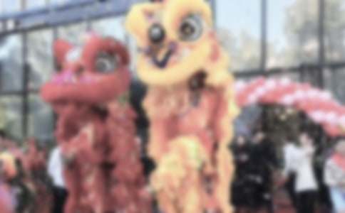 �I(l��ng)���_�I(y��)�c�����o