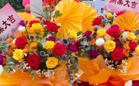 �Ԍ��µ��_�����N�V���~����