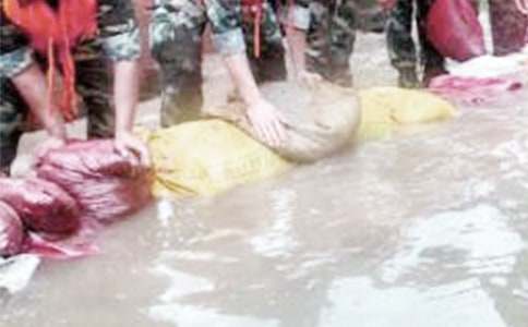 給抗洪救災(zāi)戰(zhàn)士的一封感謝信