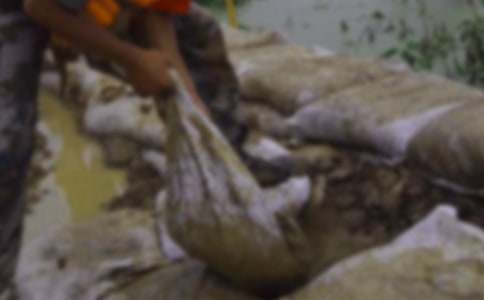 ����Ȟ�(z��i)�������M(j��n)���E