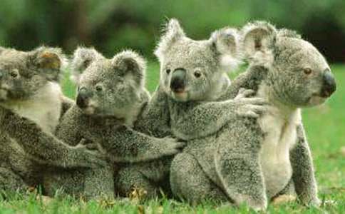 ����������