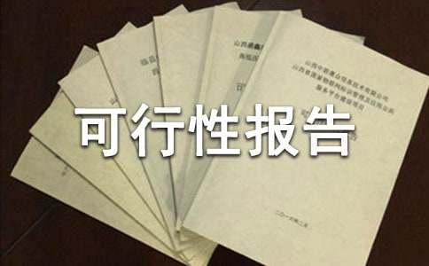 投資可行性報(bào)告