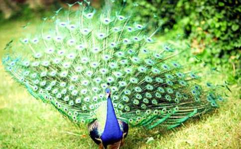 ����ȸ�|���w���x���