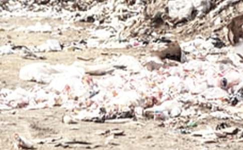 ʮ������ʳƷ�ֳ���