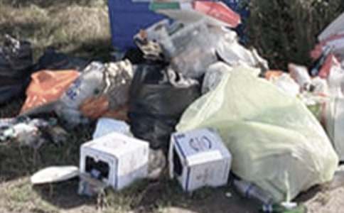 農(nóng)村垃圾整治匯報