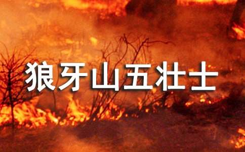 讀《狼牙山五壯士》有感14篇(優(yōu))