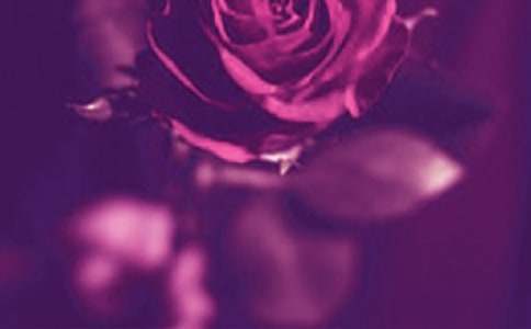 �ِ�(��i)һ����������f(shu��)�f(shu��)10ƪ