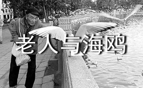 �����c���t�n���OӋ