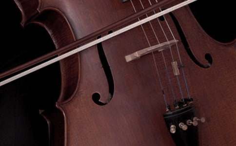 聲學(xué)的二則樂器制作