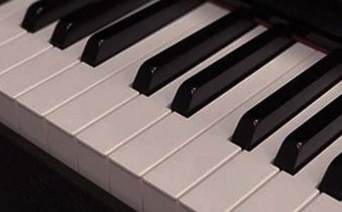 (通用)神奇的樂器作文15篇