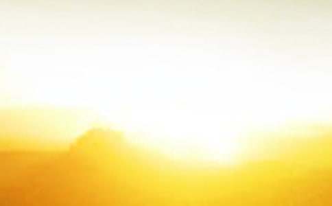 �P���n��������֪ͨ�����}���x