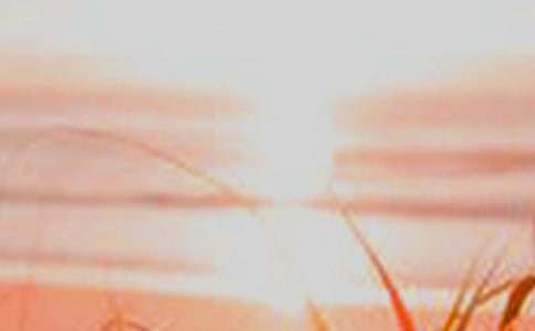 ���I�����ճ��L��zӰ���p���M�D��