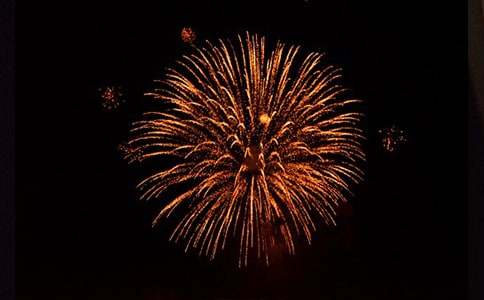 �ŶY������