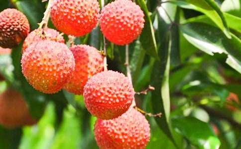 ����������֦���̌W(xu��)�O(sh��)Ӌ