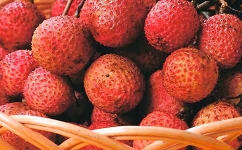 《長(zhǎng)安的荔枝》讀后感【集合】