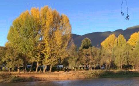 �����ų����ąR��[15ƪ]