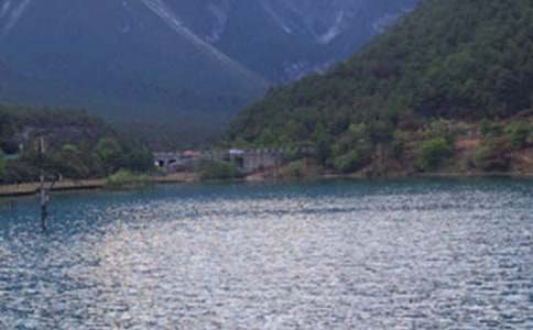 ���M�����̌W���