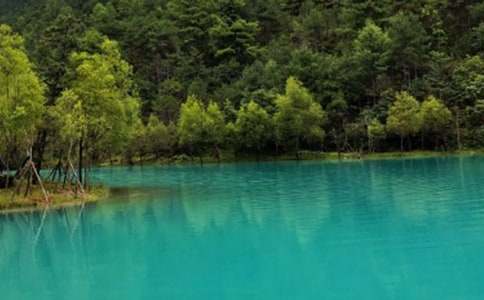 ��������Ҫ��ʲô