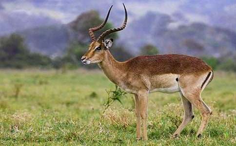 ������ľ���x���16ƪ