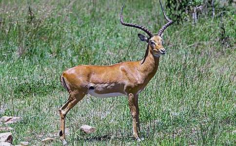 ������ľ���x���