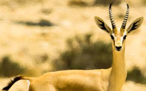 ���]������ľ���x���15ƪ