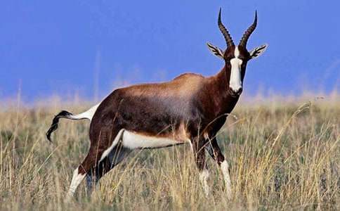 ����ľ���x���