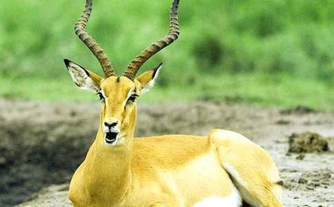 ������ľ���x���11ƪ