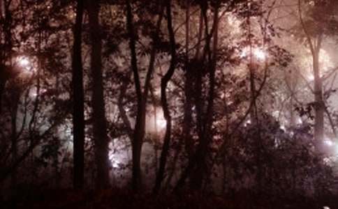 ���賿�����܌Wɢ��