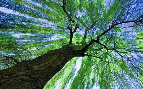 �Ҽҵ�����(sh��)����