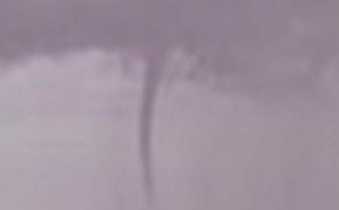 �����L���~