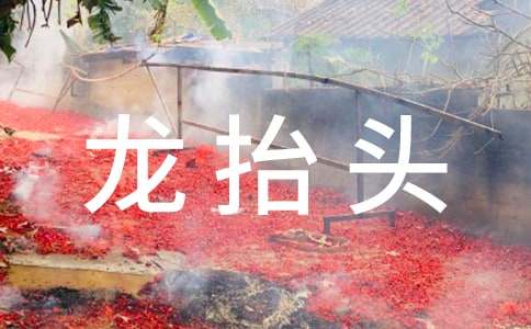 ���¶���̧�^��ʳ�� �����˳�ʲô