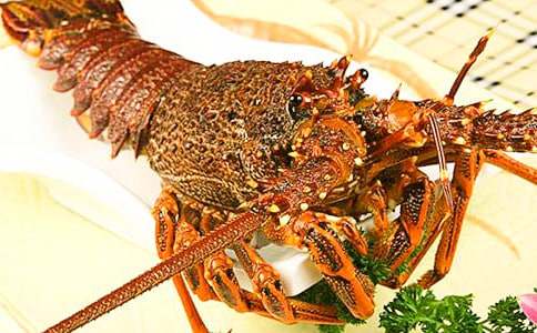 創(chuàng)意龍蝦廣告語