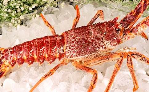 �����r����