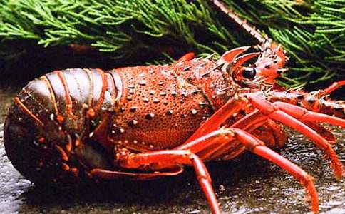 �����A������r����