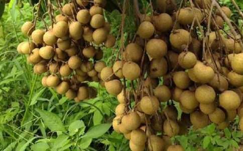 �Ґۼ��l����������