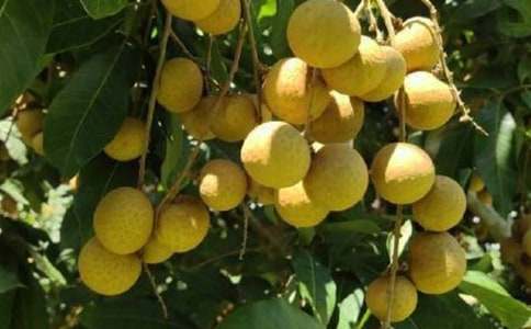 ���؂䡿���ۘ�������ƪ