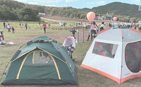 �P��¶�I���ļ��Ͼ�ƪ