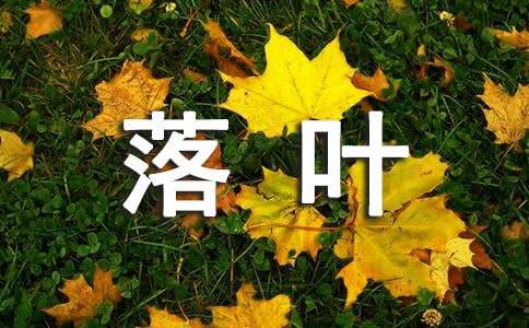 小落葉的節(jié)奏舞大班藝術(shù)教案