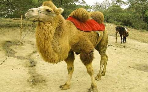 �����񄡷�̌W(xu��)�O(sh��)Ӌ(j��)15ƪ