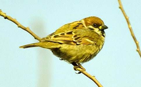 (��(y��u)�x)�x����ȸ���и�