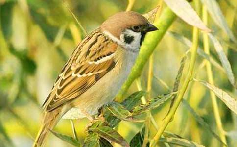 �x����ȸ���и�[��Ʒ]