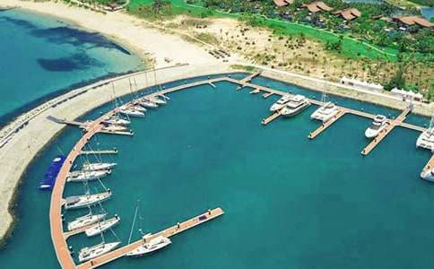 �a�^�D��f�h