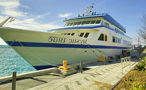 ��݆�ɴa�^���֠�������ʲô܇