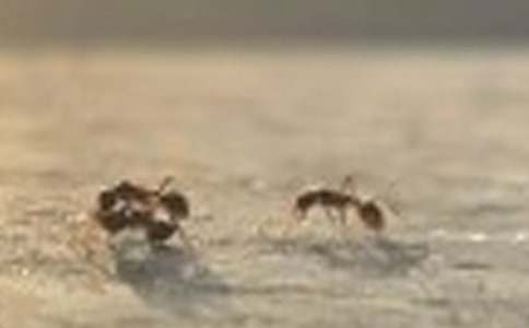 Λρ?zh��n)���ӛ���ģ����x36ƪ��