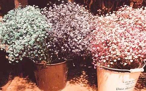 �M���Ǹ����ɫ����Ļ��Z