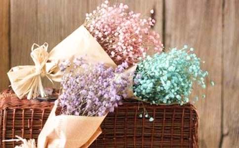 �M��������15ƪ(���])