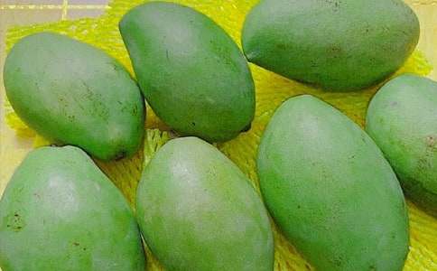 â��������ģ�����15ƪ��